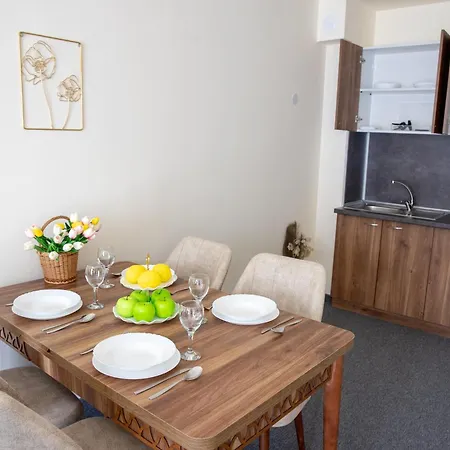 One-bedroom Premium Apartment *
